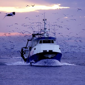 airbnb fishing trips charters boats disrupt sf belgrade fishingbooker.com outside