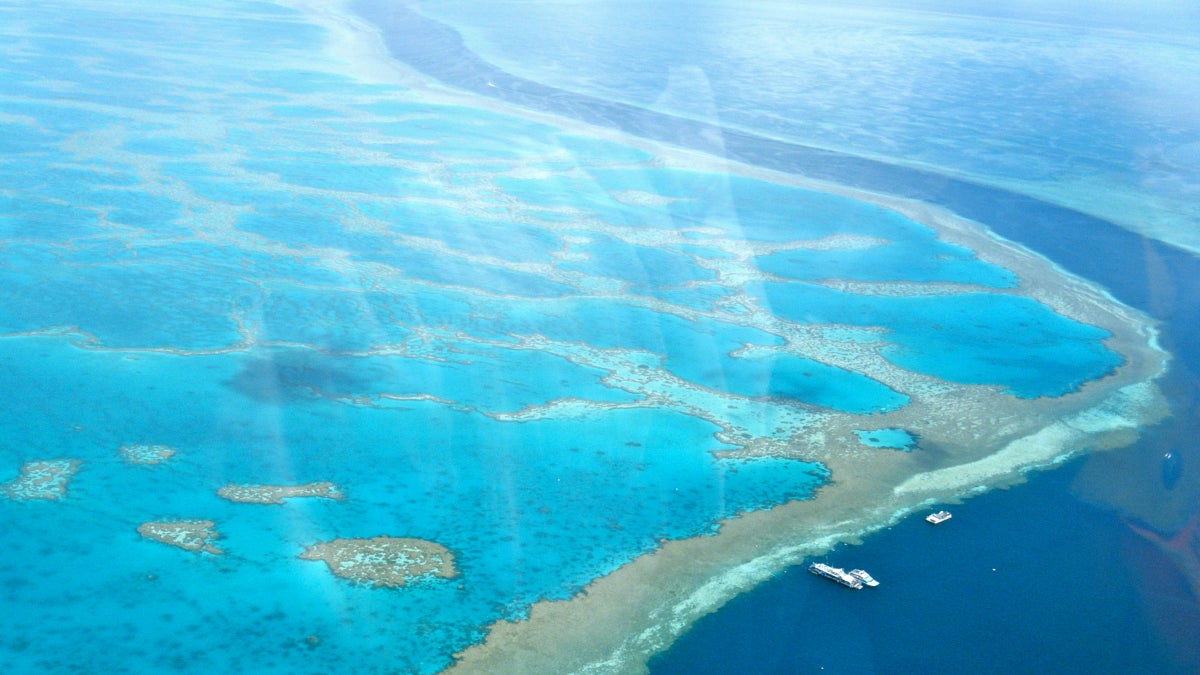 Australia Announces Plan to Save the Great Barrier Reef