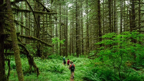 Study: Hiking Makes You Happier