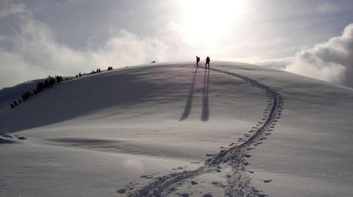 Really want that burger? See you in about 12,000 steps.