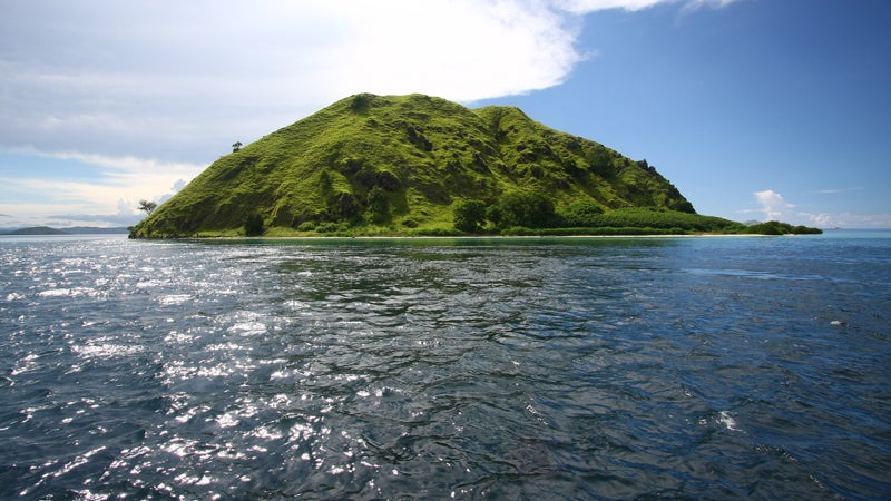 The tourists were traveling to Komodo Island, which as the name implies is home to the world's biggest lizard, the Komodo dragon.