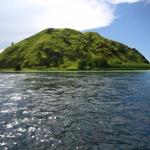 The tourists were traveling to Komodo Island, which as the name implies is home to the world's biggest lizard, the Komodo dragon.