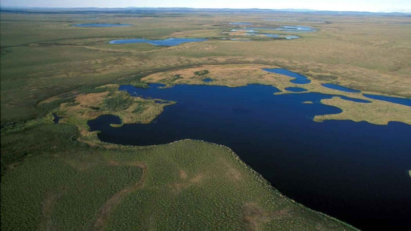 louisiana bayou noaa climate assessment sinking wetlands drowning propublica the lens hannah weinberger news from the field outside outside online outside magazine oil fields watershed new orleans