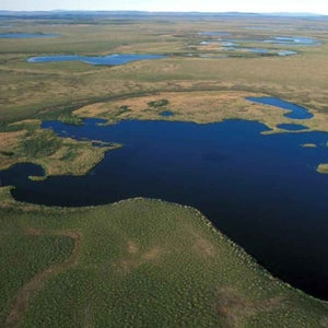 louisiana bayou noaa climate assessment sinking wetlands drowning propublica the lens hannah weinberger news from the field outside outside online outside magazine oil fields watershed new orleans