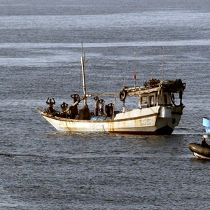 Gulf of Aden Somalia Piracy Pirates Somalian Skiff Royal Navy Royal Marines Surrendering Surrender Boat Boarding Team