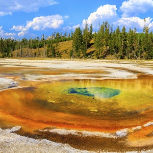 yellowstone national park service birthday united states wilderness protection preservation