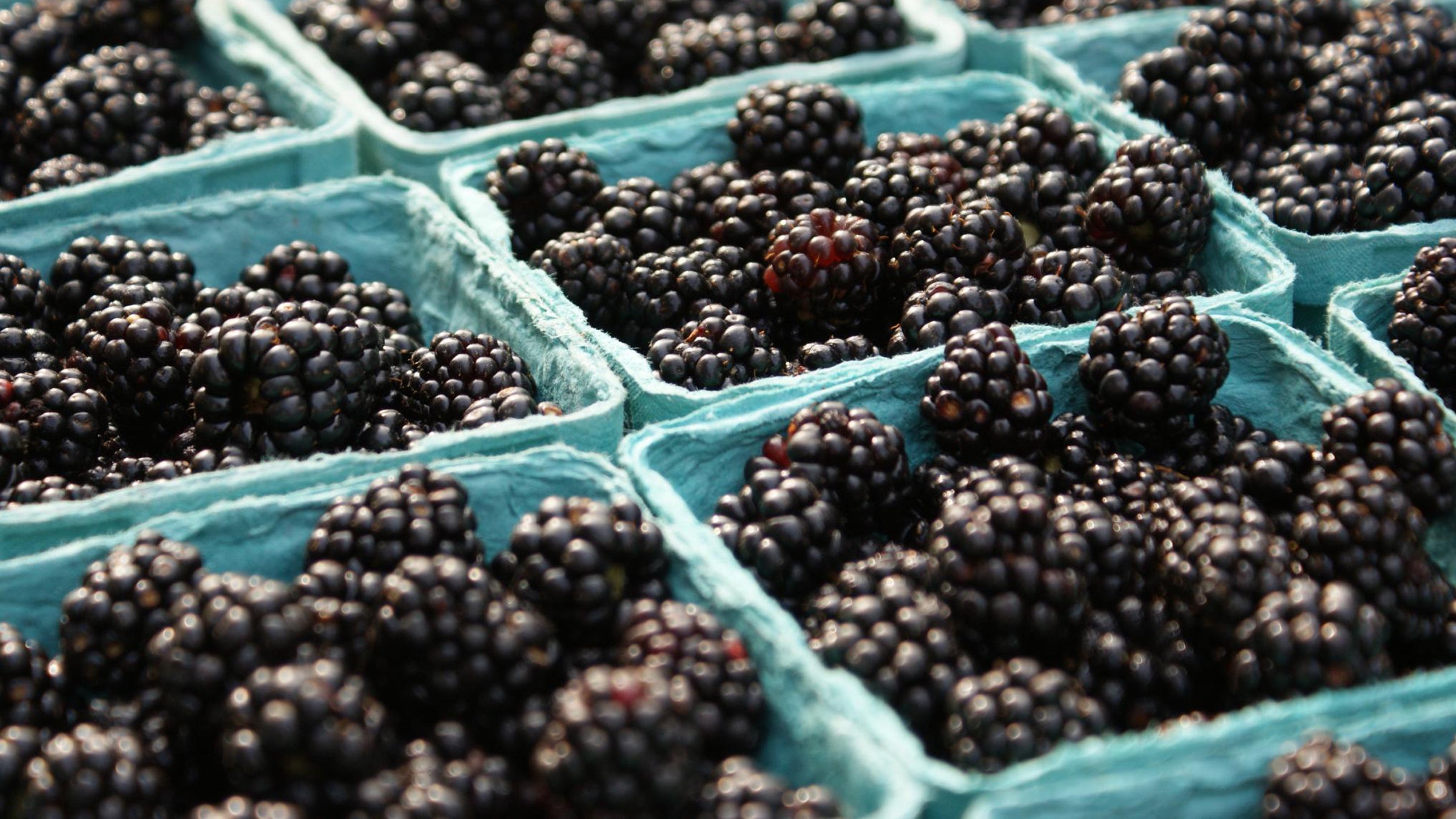 labels food marketing consumerism organic natural nutrition