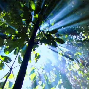 conservation international m sanjayan environmental protection ad campaign outside outside magazine outside online kevin spacey harrison ford peter seligmann lee clow news from the field hannah weinberger the rainforest the soil penelope cruz julia roberts mother earth personification