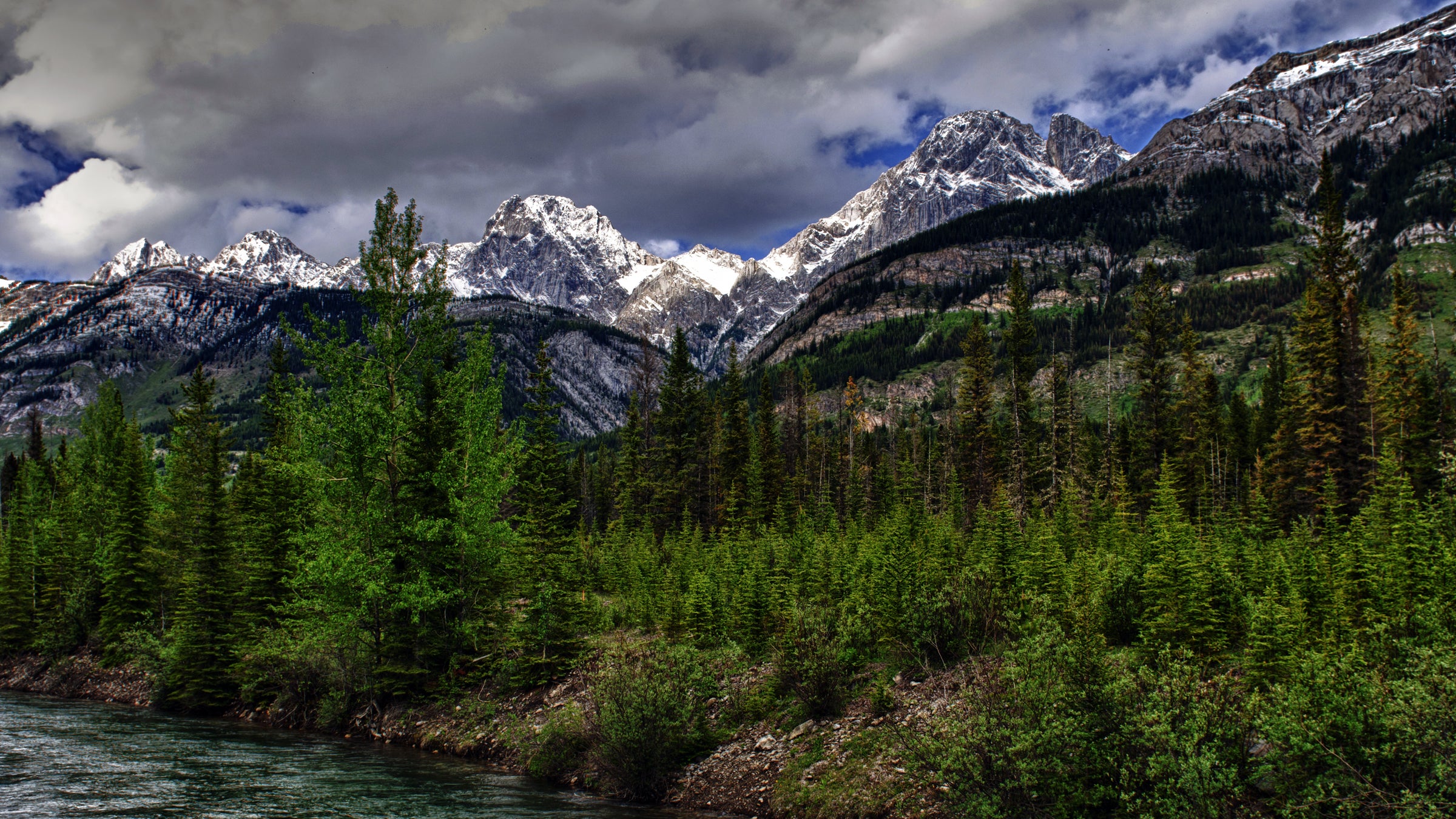 rocky mountains climate change environment trees outside