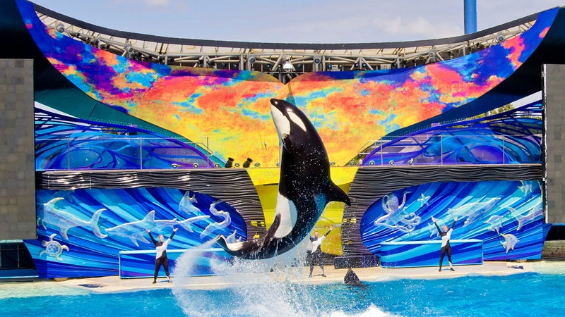 Seaworld has stated that negative media coverage has attributed to the decline is park attendance.