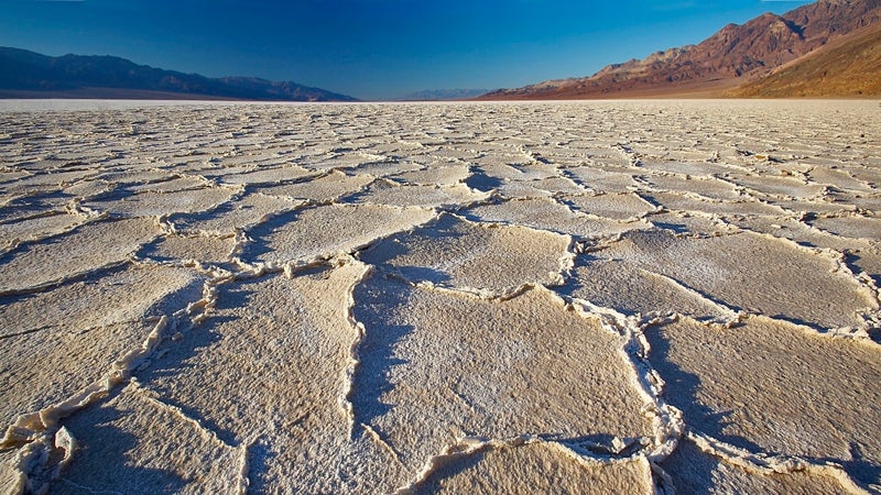 megadrought cornell university decade-long drought arizona california nevada new mexico news from the field outside online dendrochronology tree rings drought cycles evaporation runoff global warming climate change outside magazine outside southwest