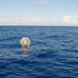Reza Baluchi's inflatable-bubble stunt was part of a goal to run across more than 190 recognized nations to encourage world peace.
