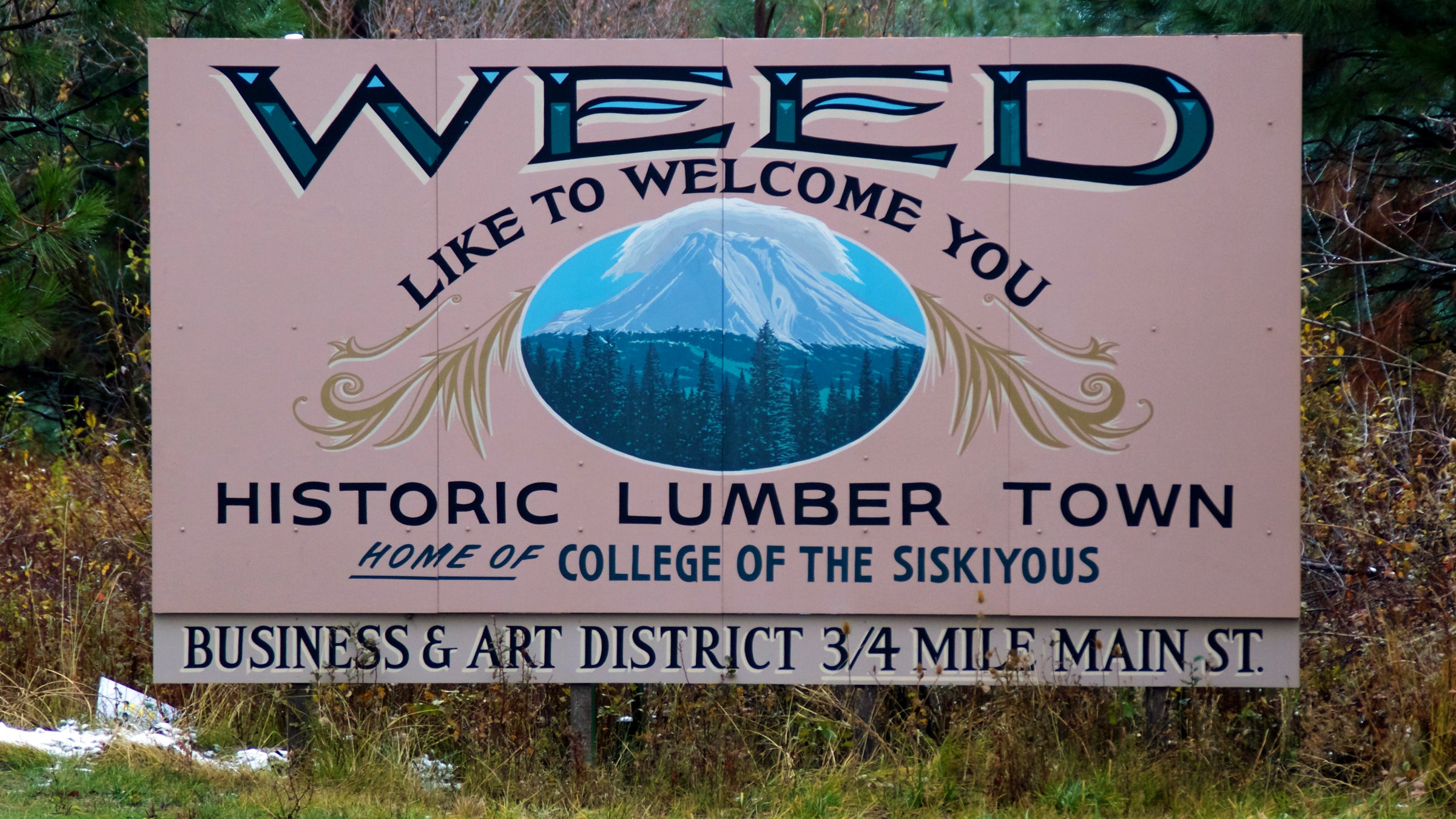 The small lumber town of Weed is home to about 3,000 people as of 2010—about half of whom have evacuated due to a wildfire.