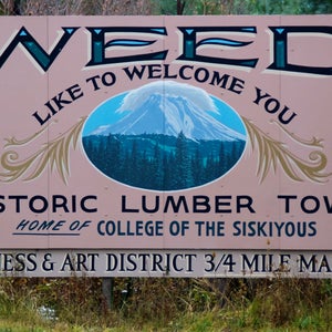 The small lumber town of Weed is home to about 3,000 people as of 2010—about half of whom have evacuated due to a wildfire.