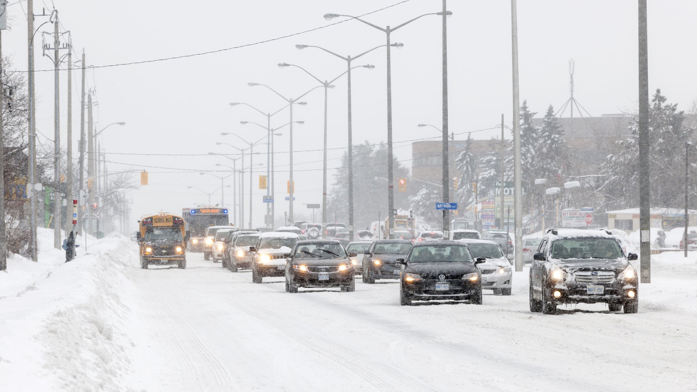 toronto polar vortex white house libertarians