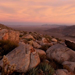 Anza-Borrego Desert State park, in California, has two strenuous hikes scheduled for New Year's Day.