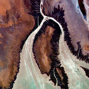 colorado river sea of cortez pulse flow nature conservation outside