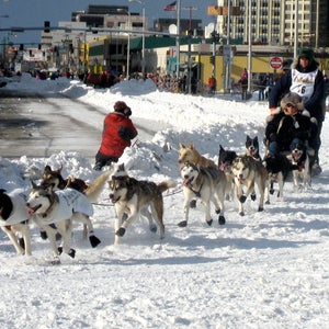 The ceremonial start will happen in Anchorage on March 7, but the race will actually start on March 9 in Fairbanks.