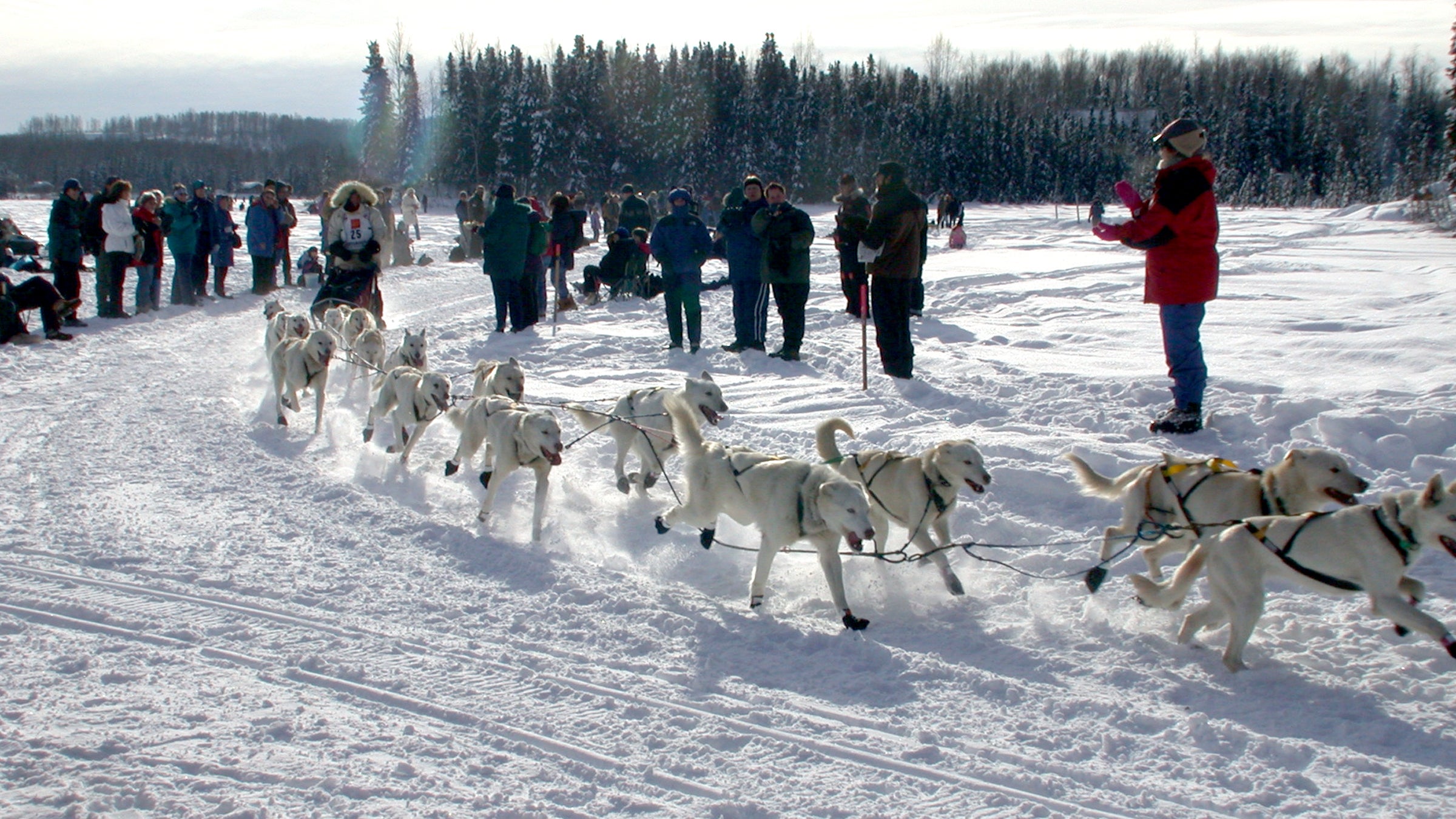 iditarod alaska outside