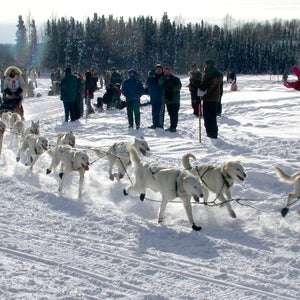 iditarod alaska outside