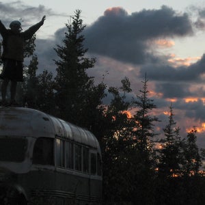 jon krakauer chris mccandless into the wild hedysarum alpinum wild potato