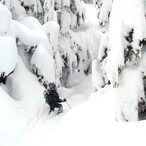 avalanche survival alaska chugach national forest turnagain pass