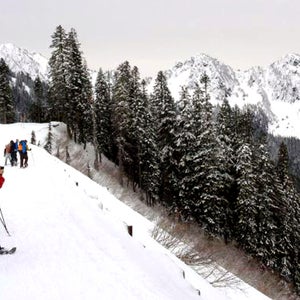 snowshoeing mount rainier death