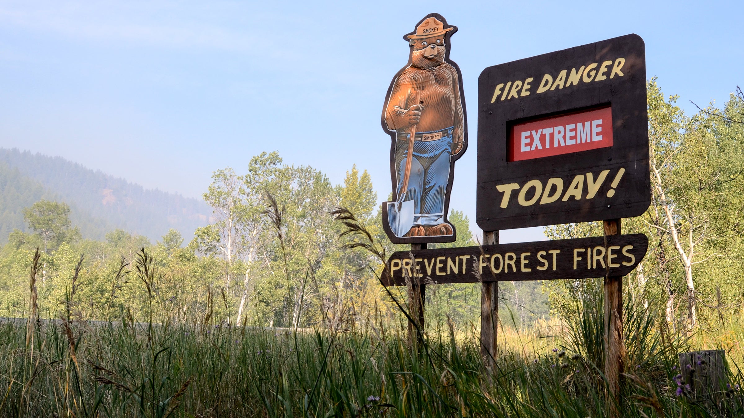Beaver Complex Wildlands Fire Idaho 