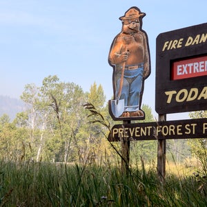 Beaver Complex Wildlands Fire Idaho