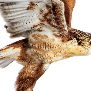 andrew zuckerman outside magazine adventure photography