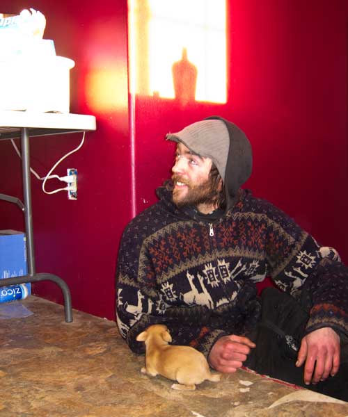 puppies huskies dogs iditarod lance mackey