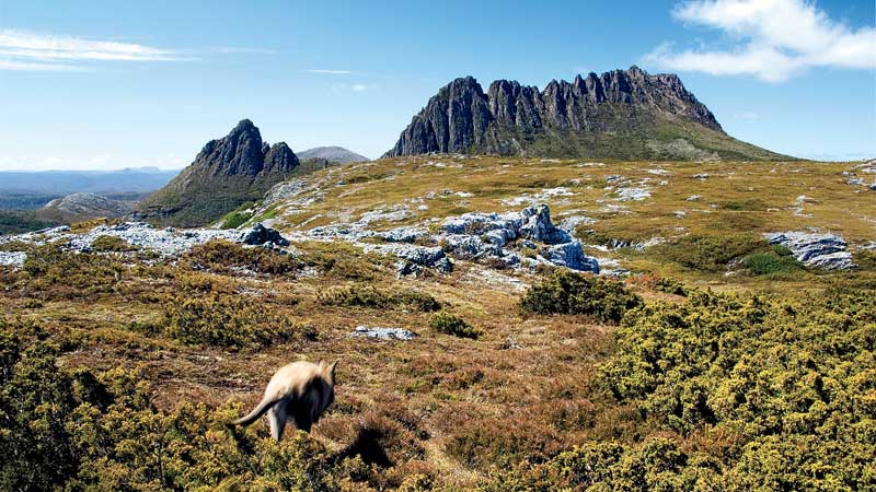 australia tasmania Cradle Mountain-Lake St. Claire