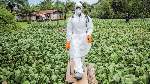 EBOLA VIRUS OUTBREAK DISEASE RESILIENCE HOMELAND SURVIVAL LIBERIA