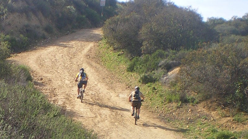 Mountain Bikers Mullholland Drive Marvin Braude