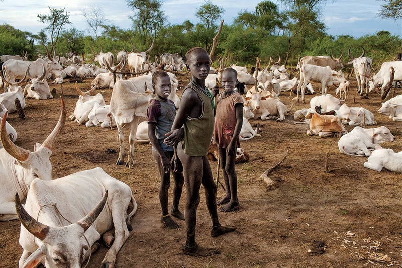 South Sudan indipendence jungle Nile war Juba Mount Kinyeti travel landscape referendum cattle camp