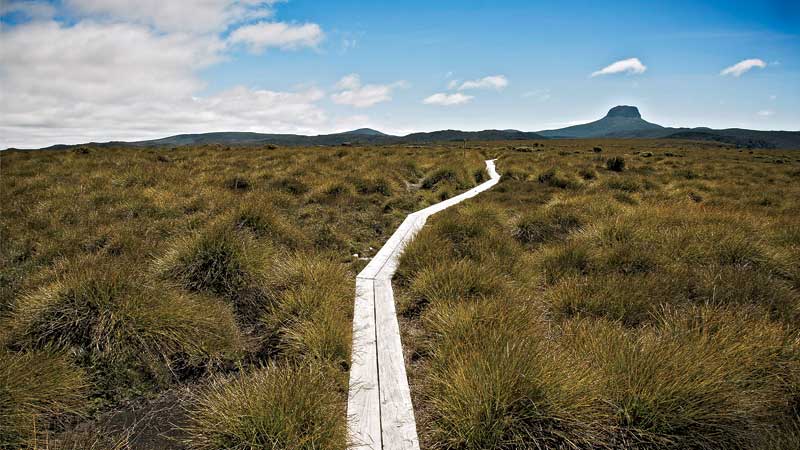 Tasmania hiking trek overland track trekking climbing outdoors adventure travel australia cradle mountain alpine wallabies echidna wildlife wilderness rugged forest forrest trees lake water mist peaks rocks hiker tent trail wild clouds www.davidmauricesmith.com david maurice smith oculi collective valley lake st clair national park park tasmanian wilderness world heri wooden path landscape journey