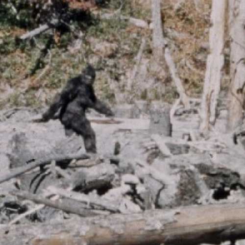 patterson film bigfoot