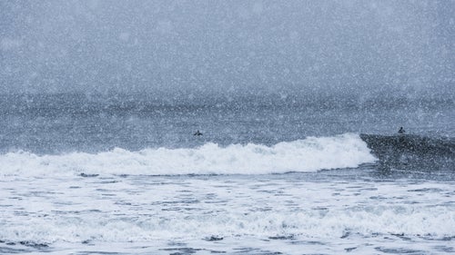 east coast winter winter weather surfing maine snow dogs