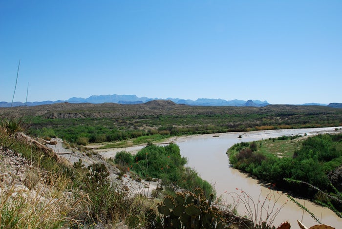 A Murder in Terlingua, Texas