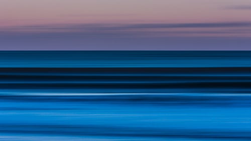east coast winter winter weather surfing maine snow dogs