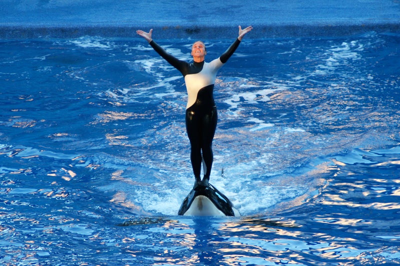 Seaworld Seaworld Trainers OutsideOnline Dawn Brancheau