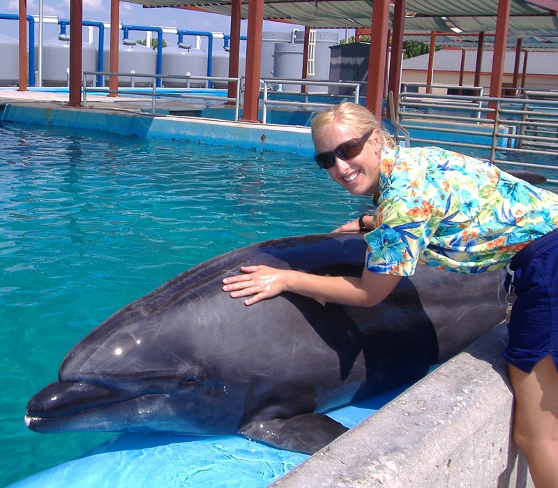 Seaworld Seaworld Trainers OutsideOnline Animal Care Orcas