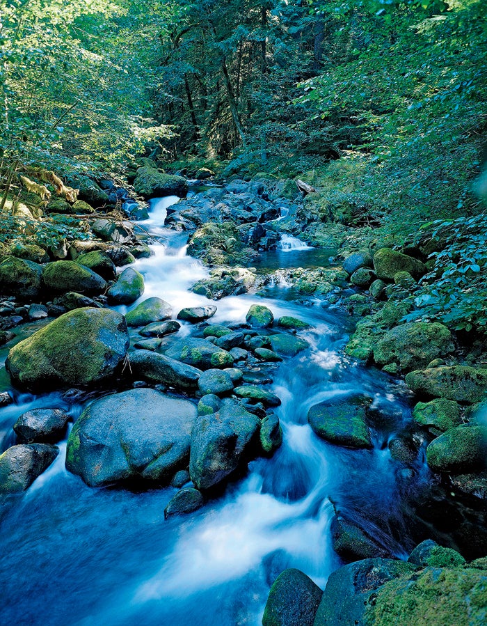 french pete creek barry lopez wilderness act