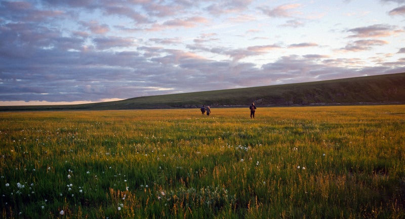 The Lena Delta tundra, a place that still feels ancient and has the astonishing amount of biological diversity to back that feeling up.