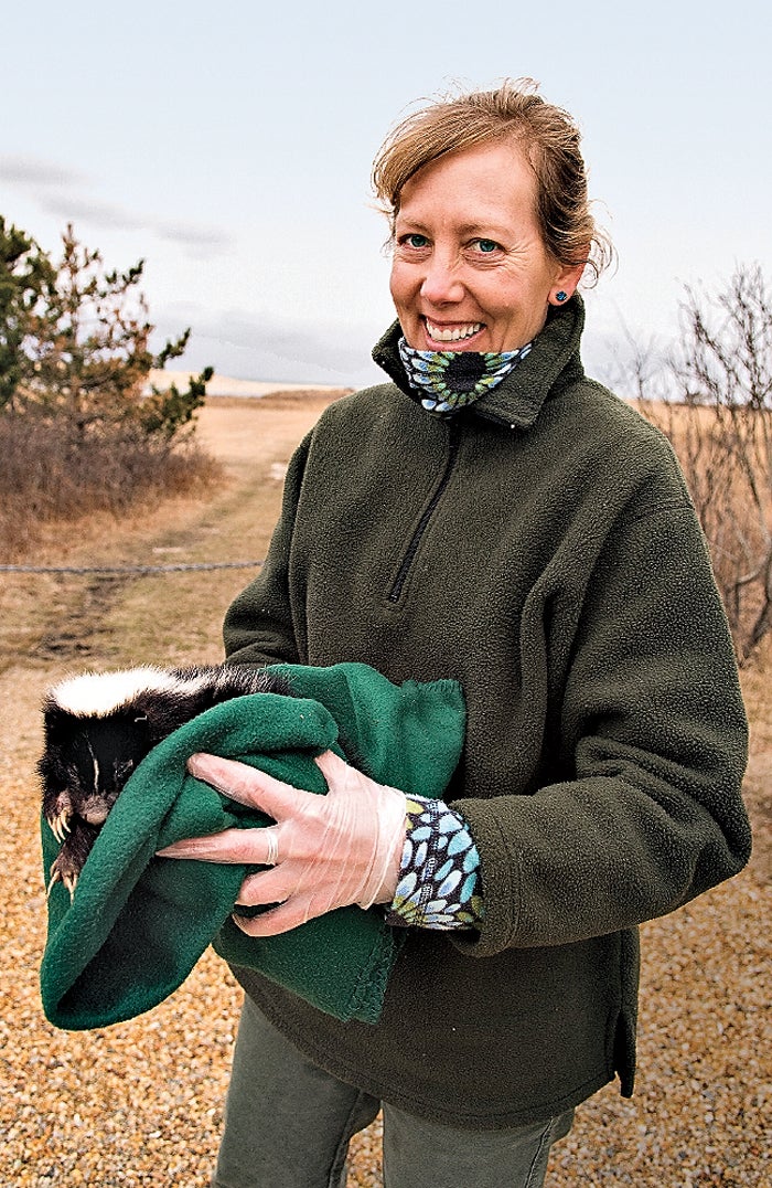 Conservation biologist Luanne Johnson. Johnson says that places where humans live are ideal for skunks.