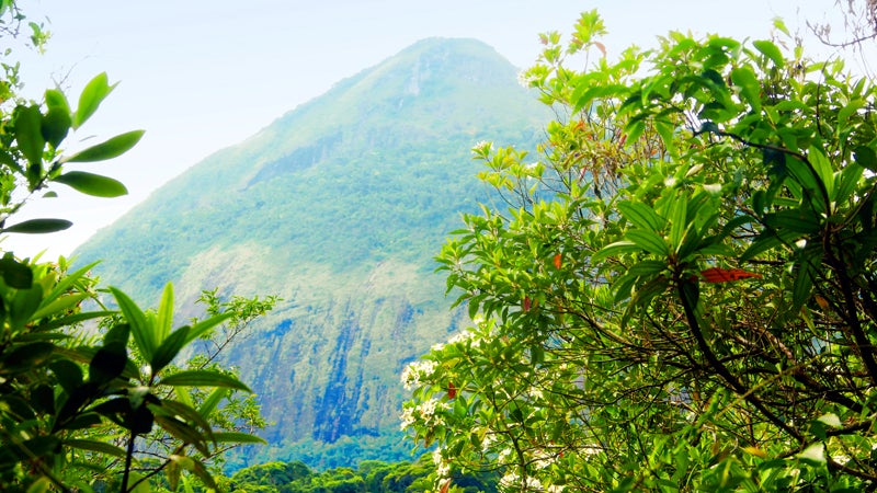 brazil rio de janeiro soccer football world cup fifa climb hike swim adventure travel exploration tijuca national park