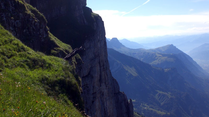 wingsuit, base jump, bird dream