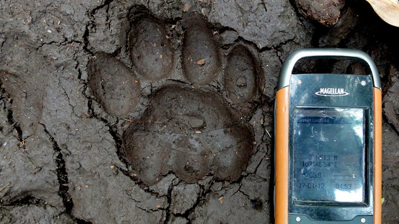eyes on the forest wildlife conservation technology indonesia google