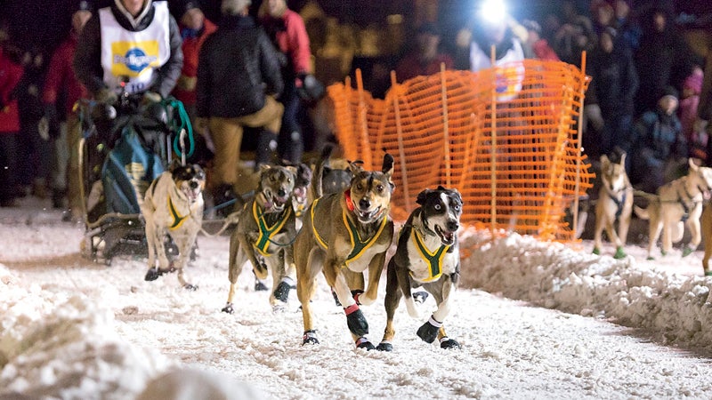 2014 animals cold dog dogs dog sled race excited fun happy international pedigree stage st ipsssdr ipsssdr 2014 jackson jackson hole night north america race racing run running sled dogs snow start starting line usa west western winter wyoming skiing winter buyers guide buyers guide buyers guide 2015 destinations outside outside online outside magazine outdoors winter travel escpes apres hot spots doubling down jackson hole wyoming breckenridge colorado aspen snowmass colorado whister british columbia party towns ski towns resort towns park city utah mangy moose million dollar cowboy x games tommy africa canyons resort spring gruv gordy mendroz