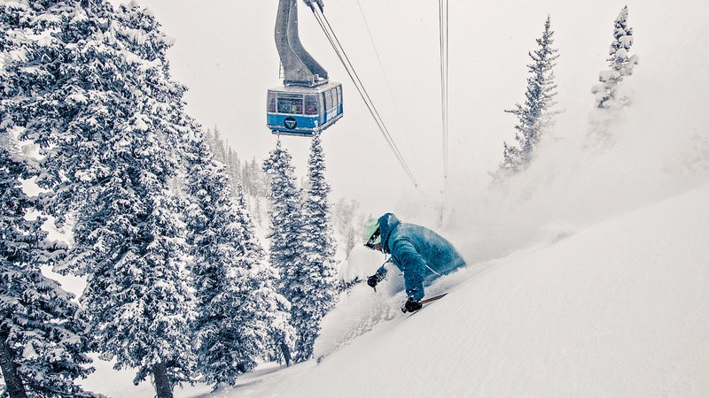 Ben Wheeler Utah powder ski skiing